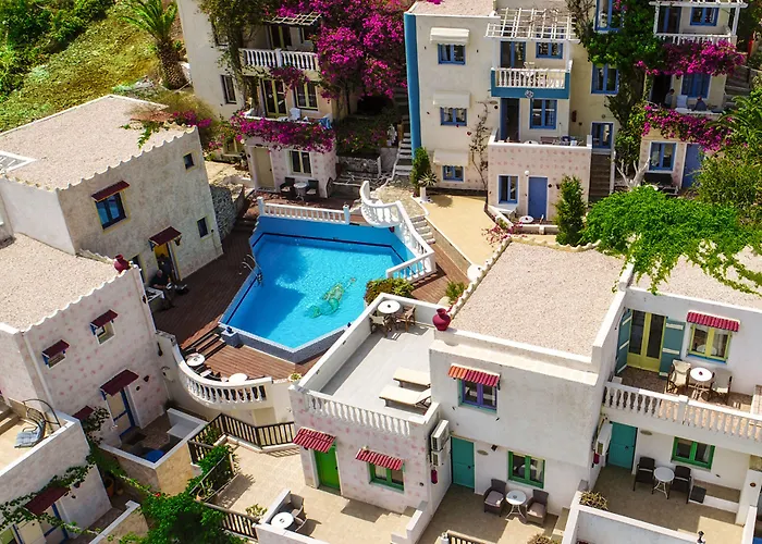 Korifi - Jr Adults Only