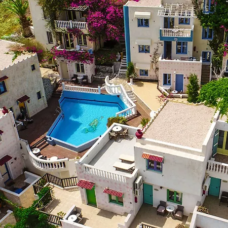 Korifi - Jr Adults Only